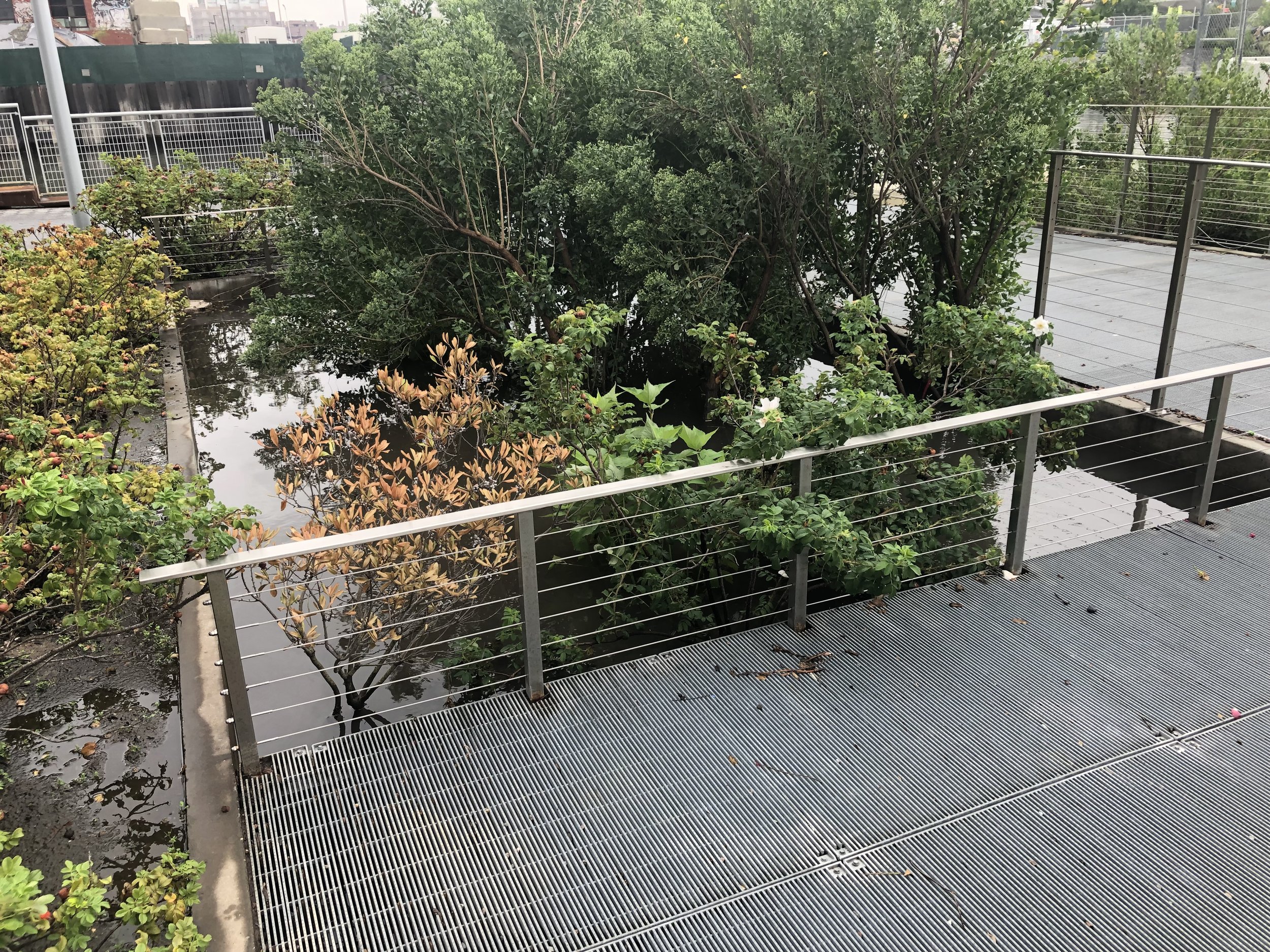 Green the Places We Live