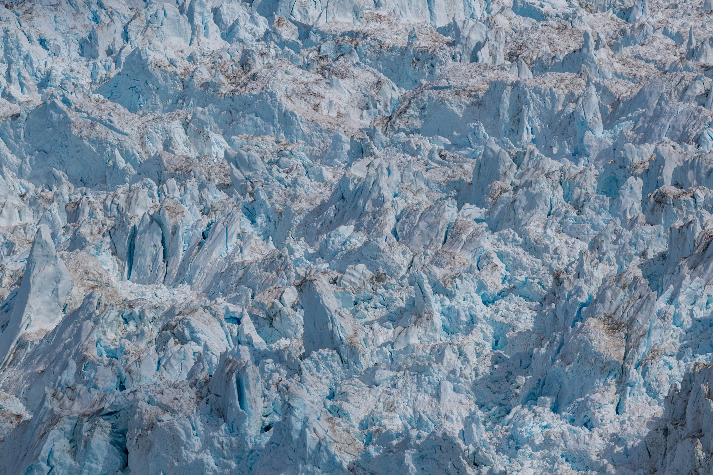 L1010912.jpg