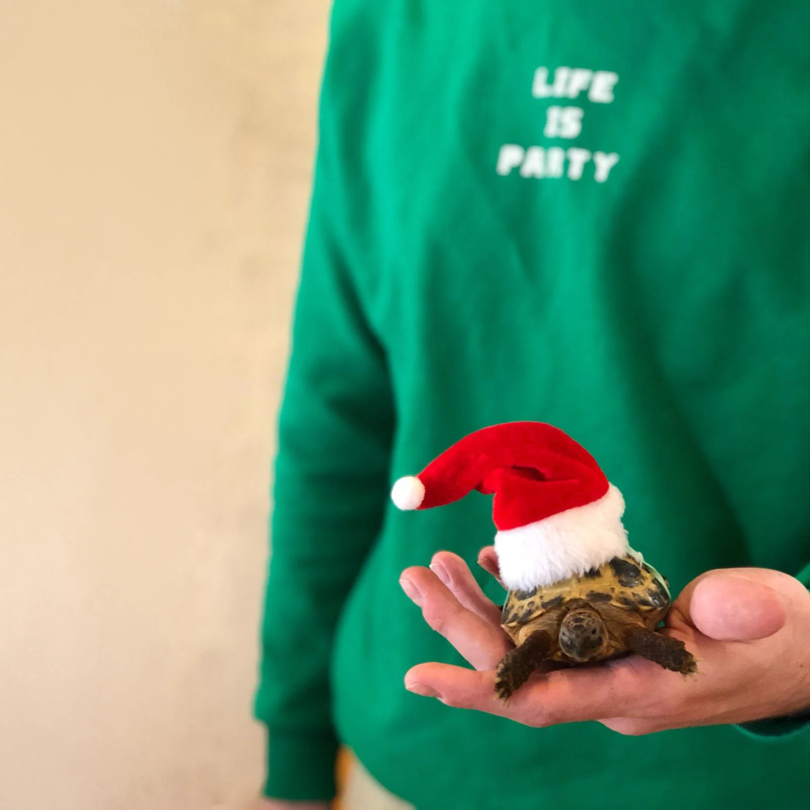 Life is party square.jpg