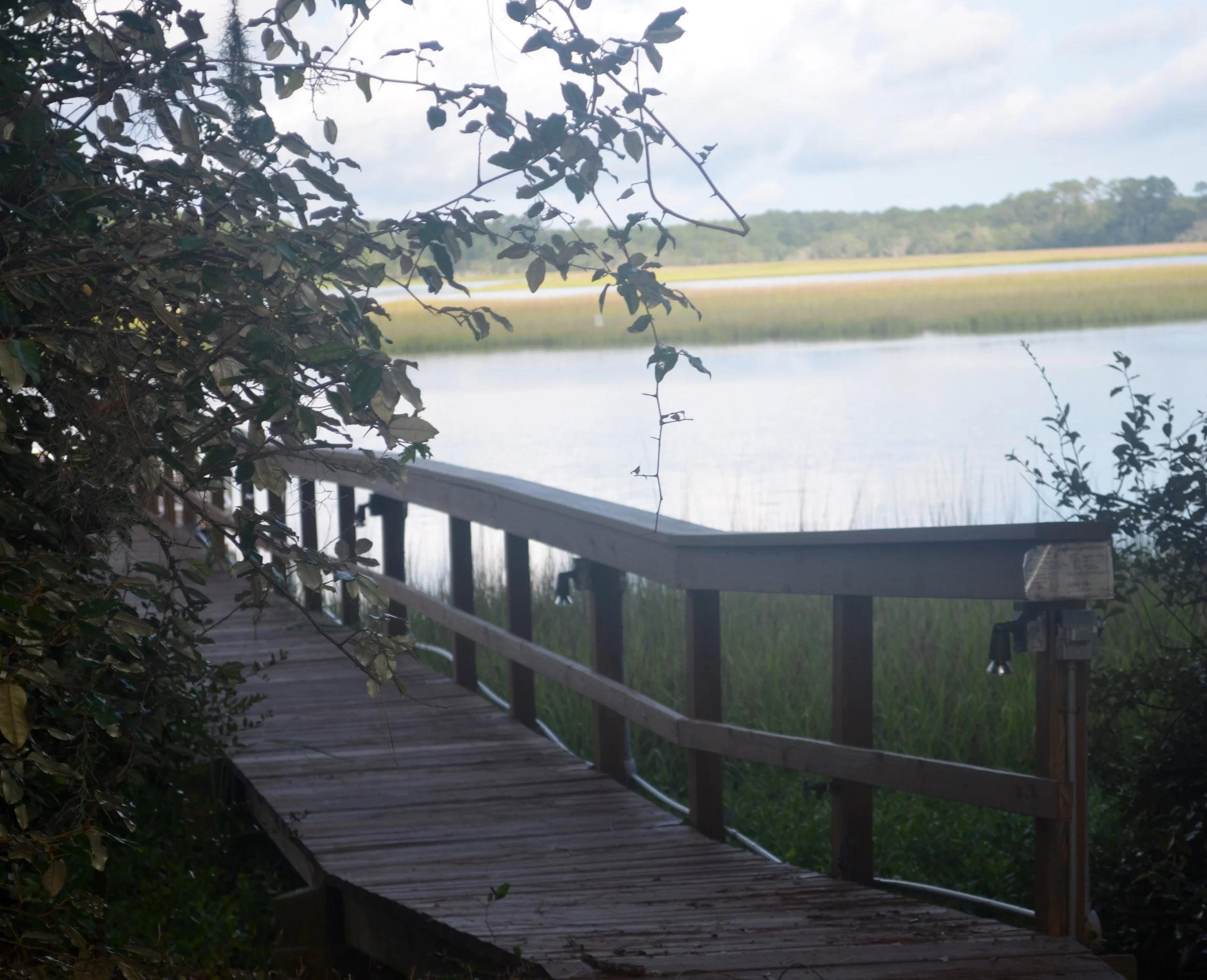 walkway to boat dock.JPG