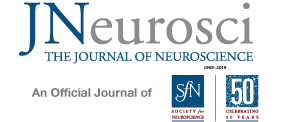 JNeurosci SfN logo 282x122 mob.png