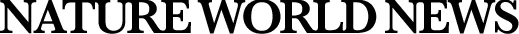 logo.jpg
