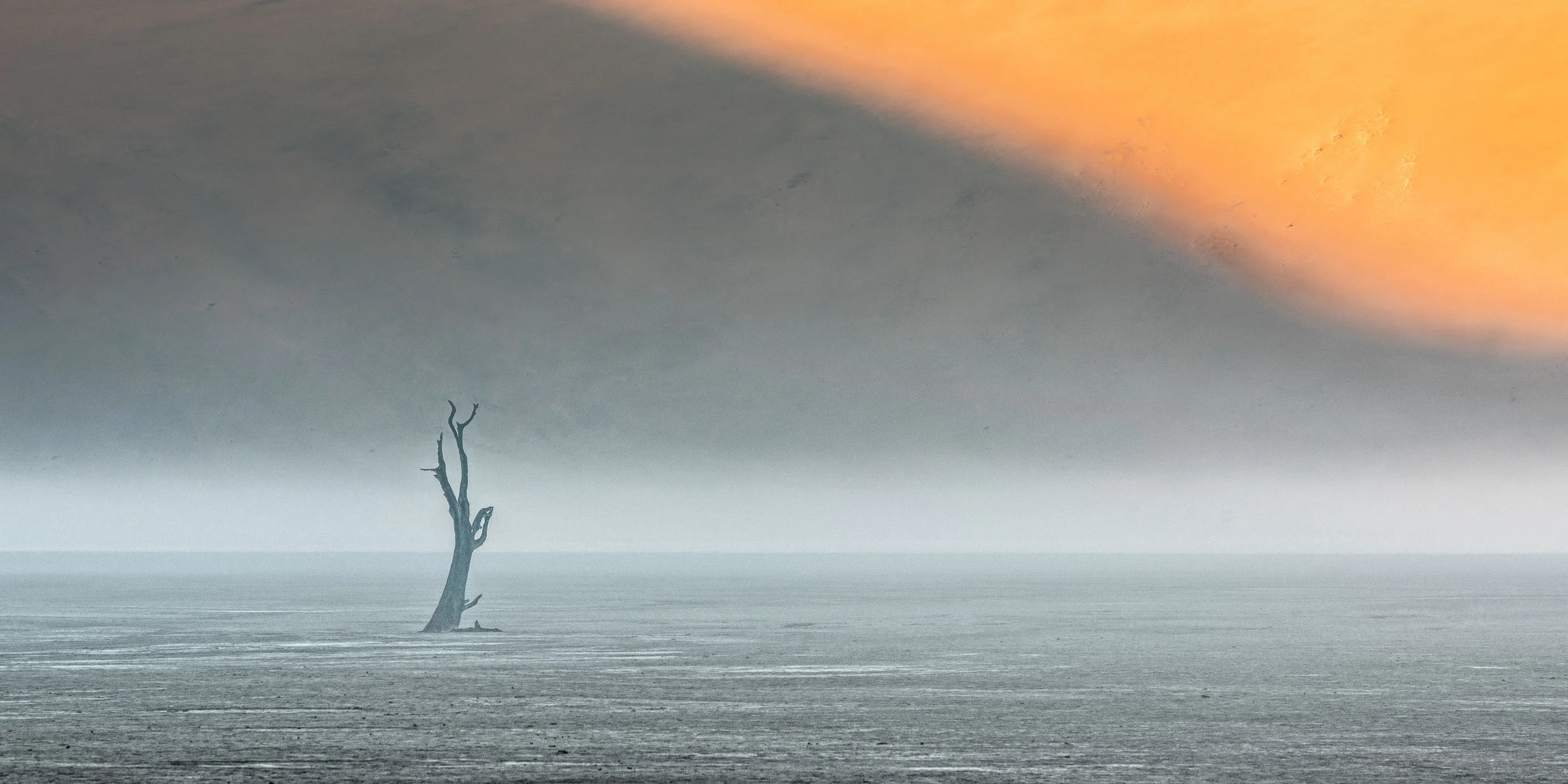 Namib_I_D07-25884.jpg