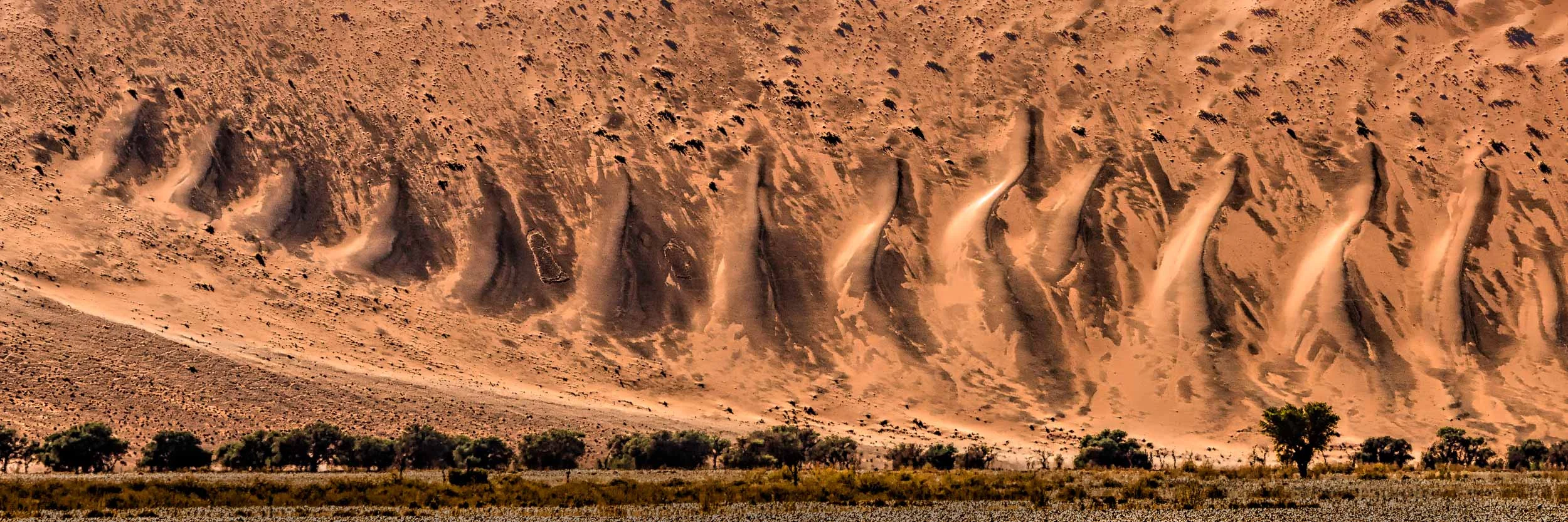 Namib_II_D06-25678.jpg