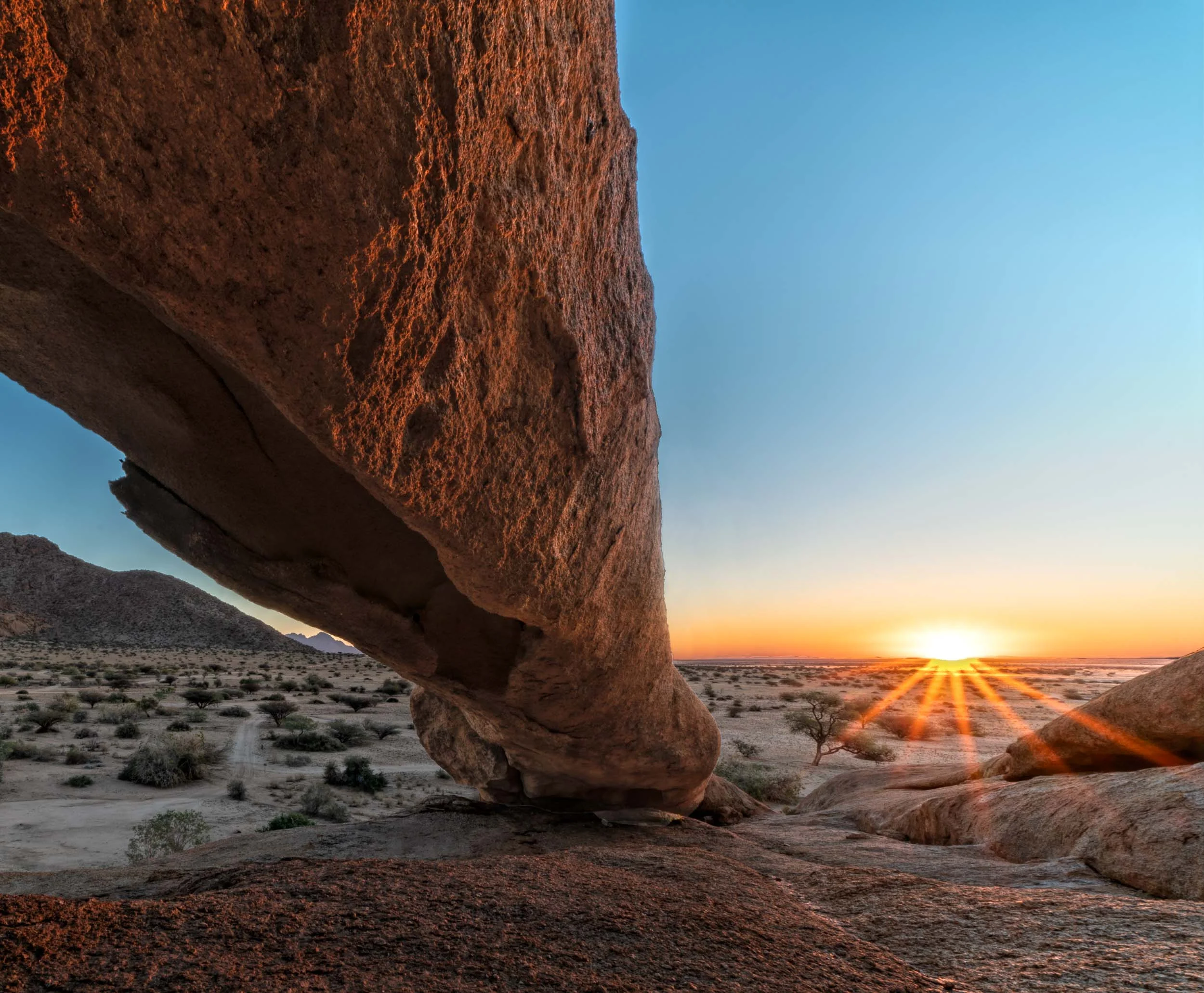 Namib_II_D11-6621.jpg
