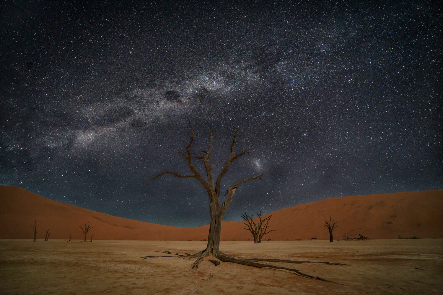 Deadvlei Tree and Stars I