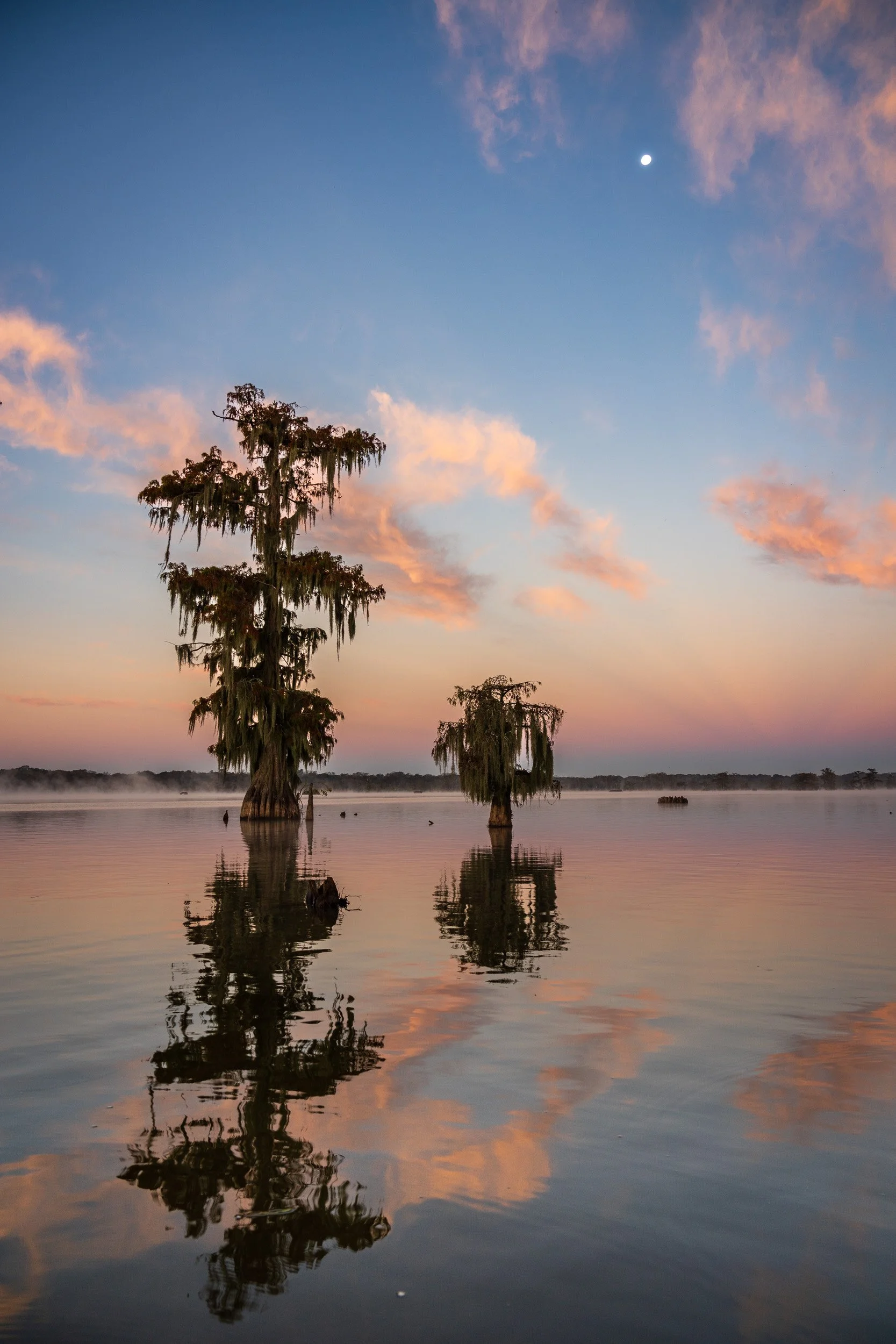 Lake Martin Evening Cypresses & Moon