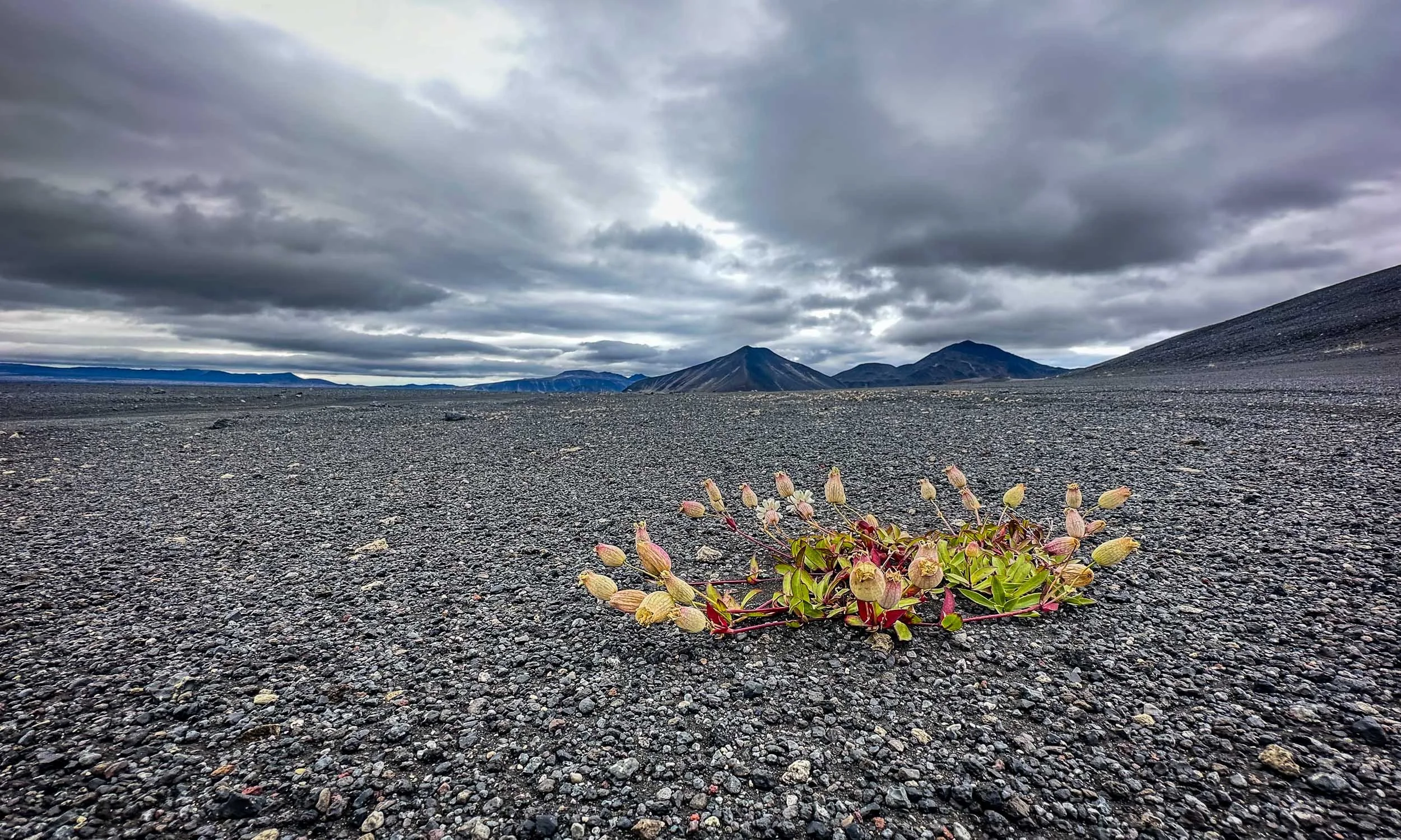 Icland Highlands 23-23.jpg