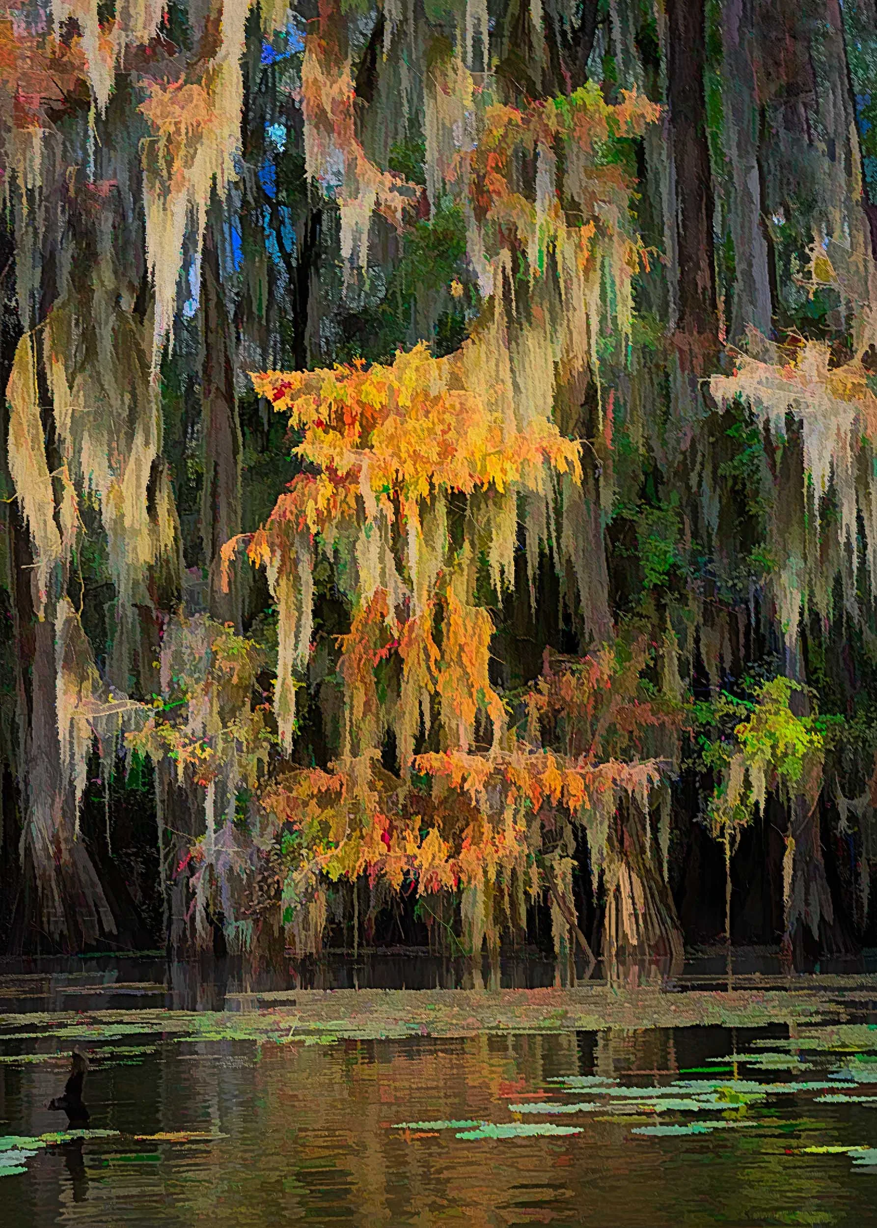 Cypress_Swamps-7.jpg
