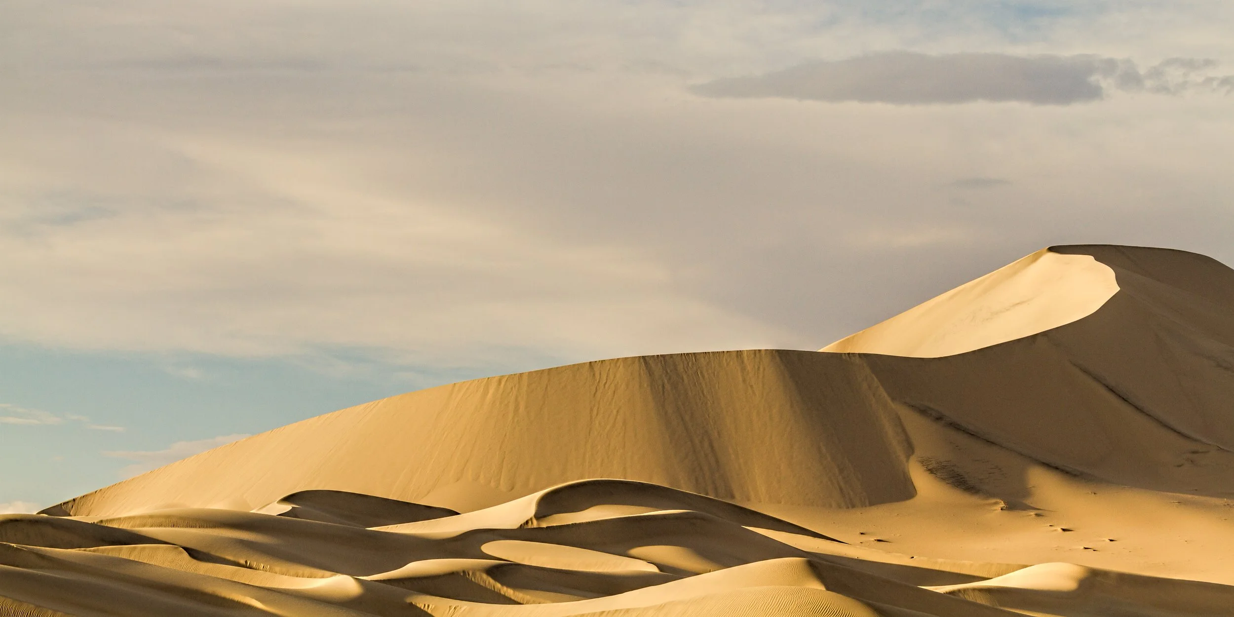 Dune Favorites-6.jpg