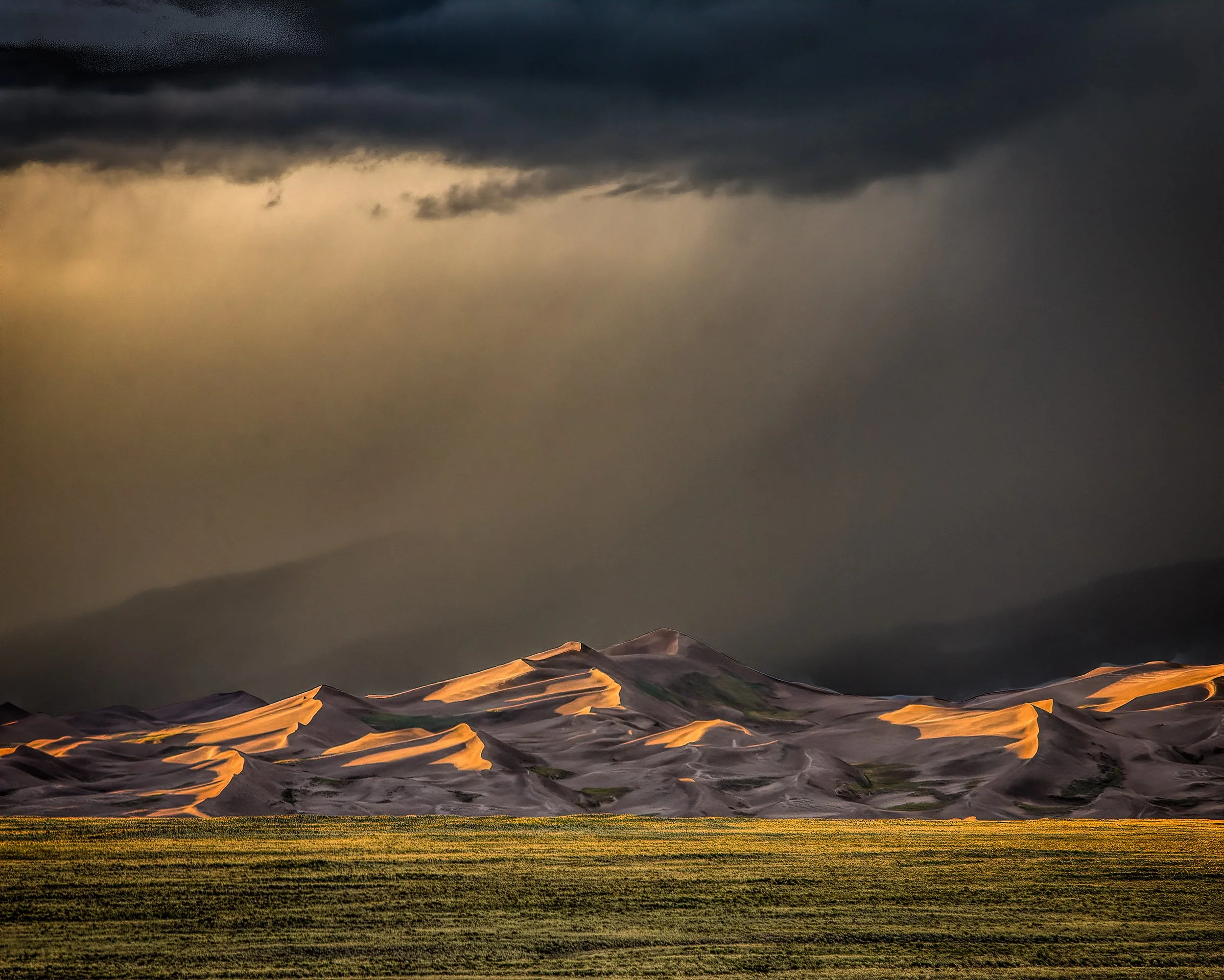 Dune Favorites-14.jpg