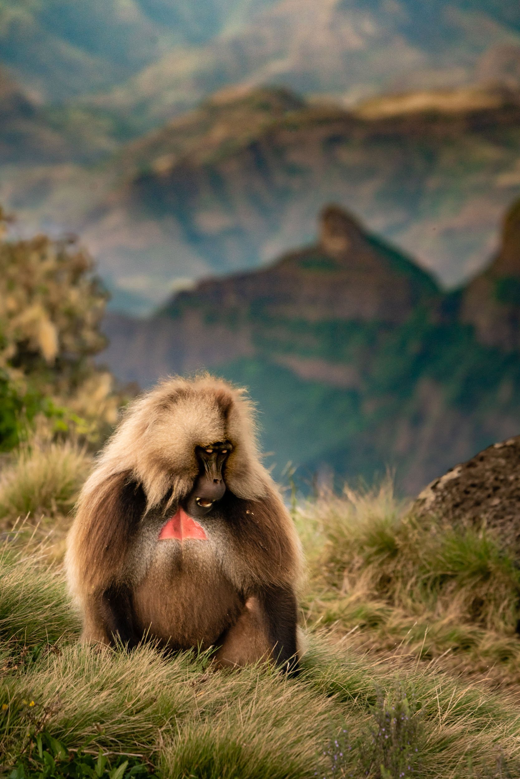 Favorites Nature-54.jpg