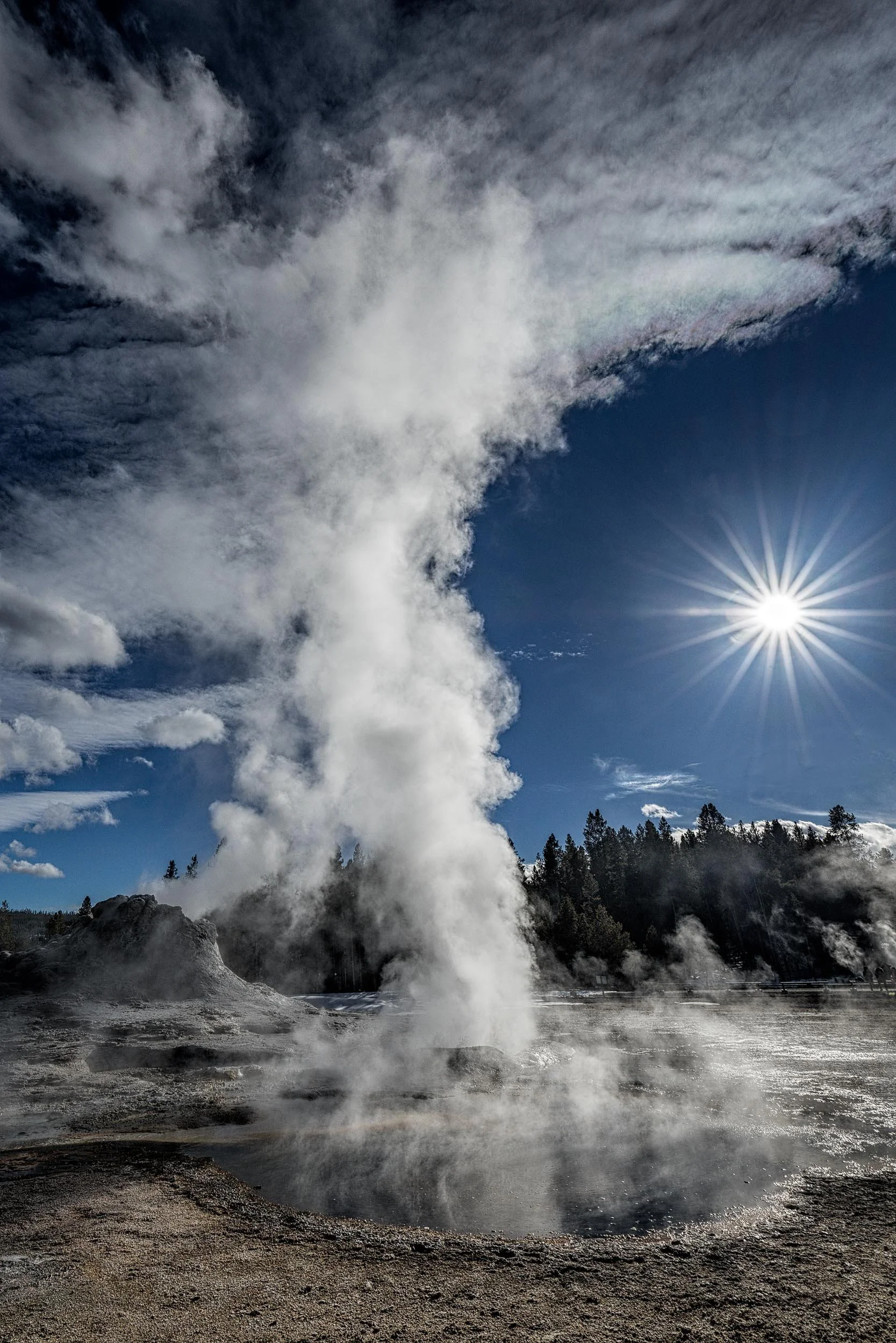 Favorites Nature-59.jpg