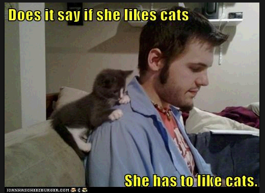 Screen-Shot-2013-05-08-at-1.32.34-PM.png