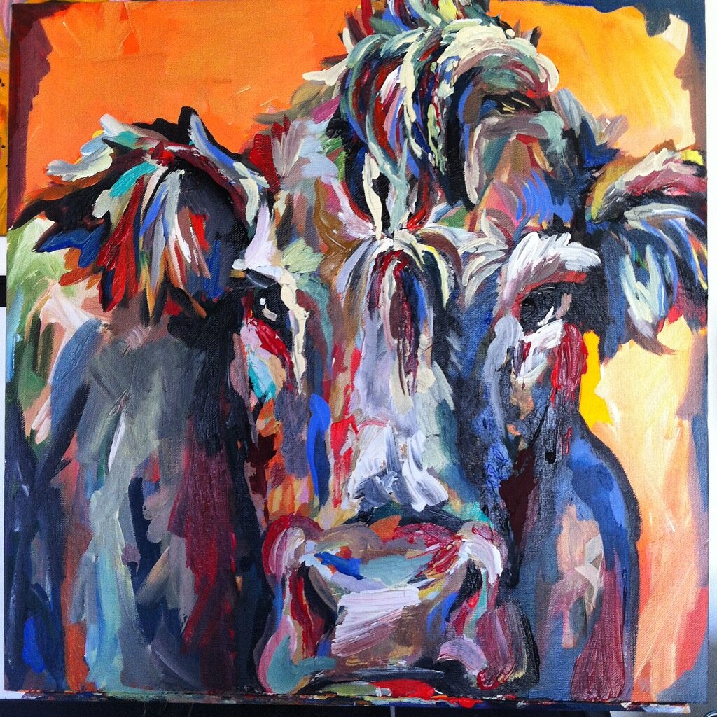 Cow