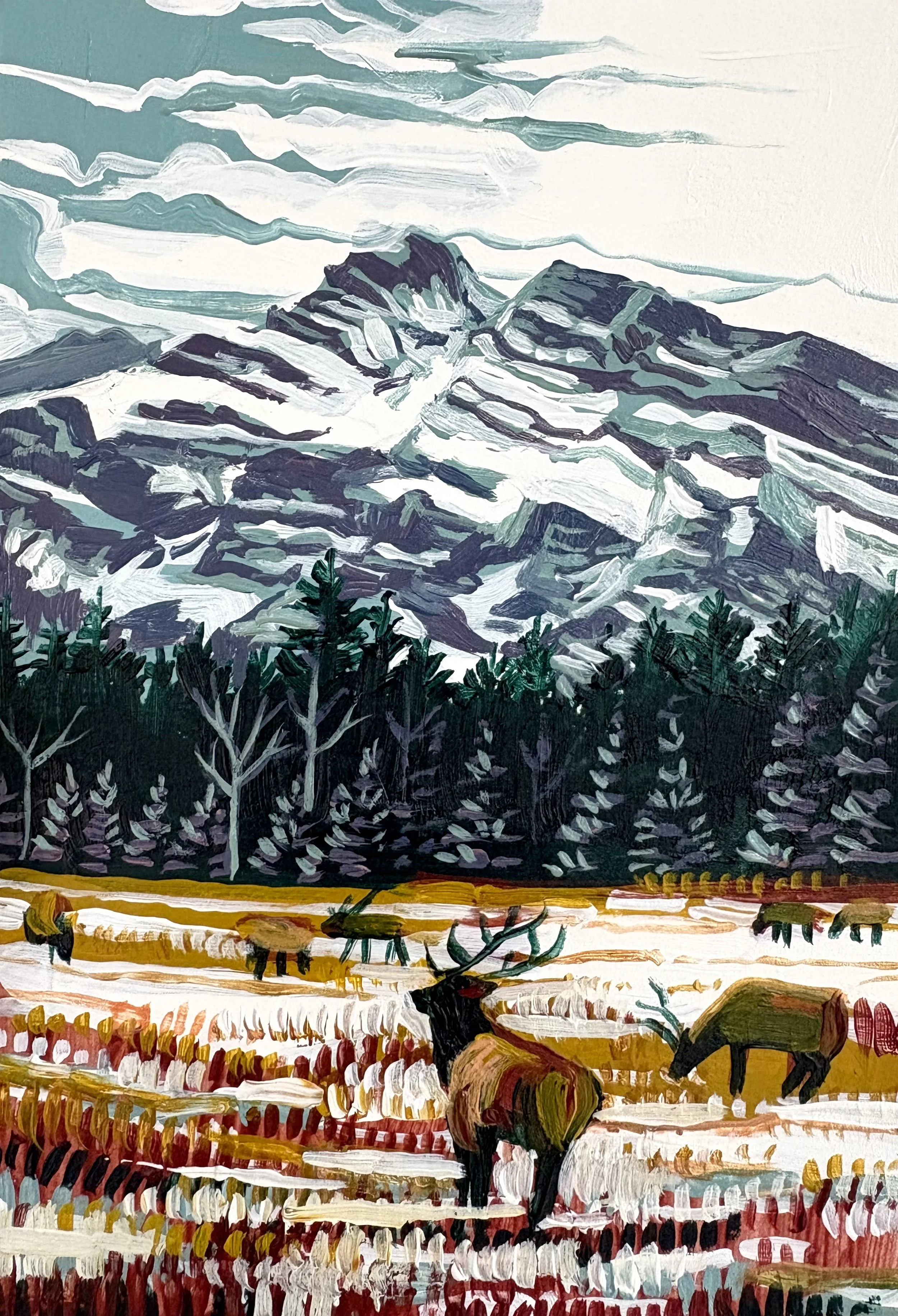 Wild Country