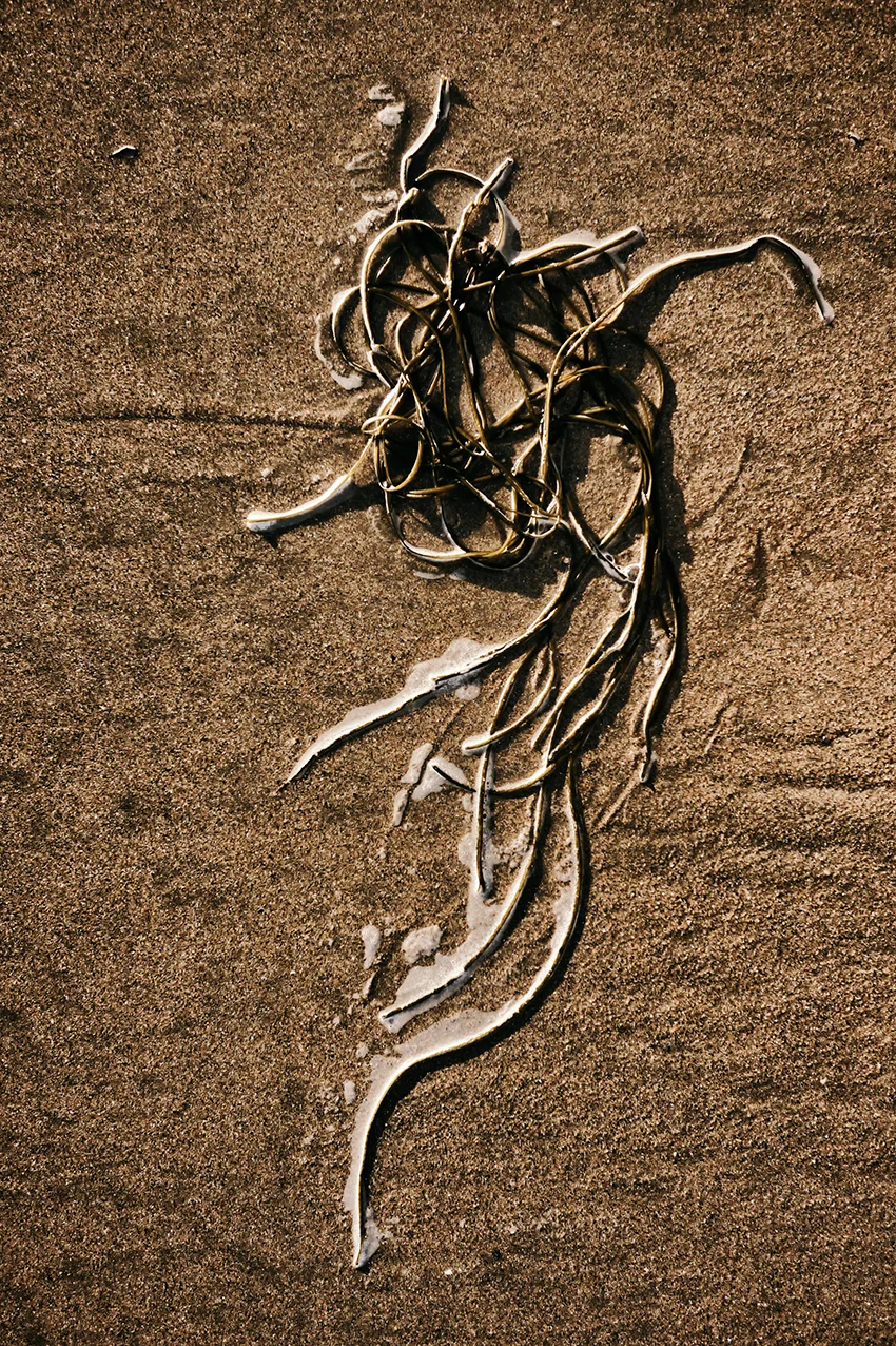 P1120158 copy sm copy 2.jpg