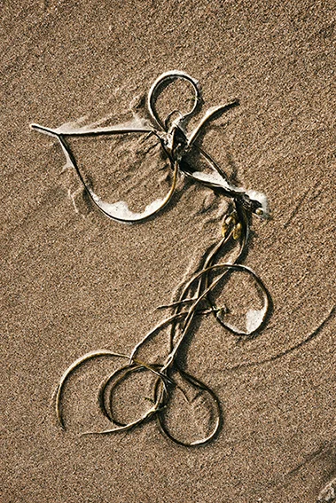 Sand 31 web copy 2.jpg