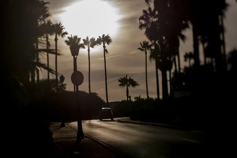 P1070147 copy 2 web.jpg