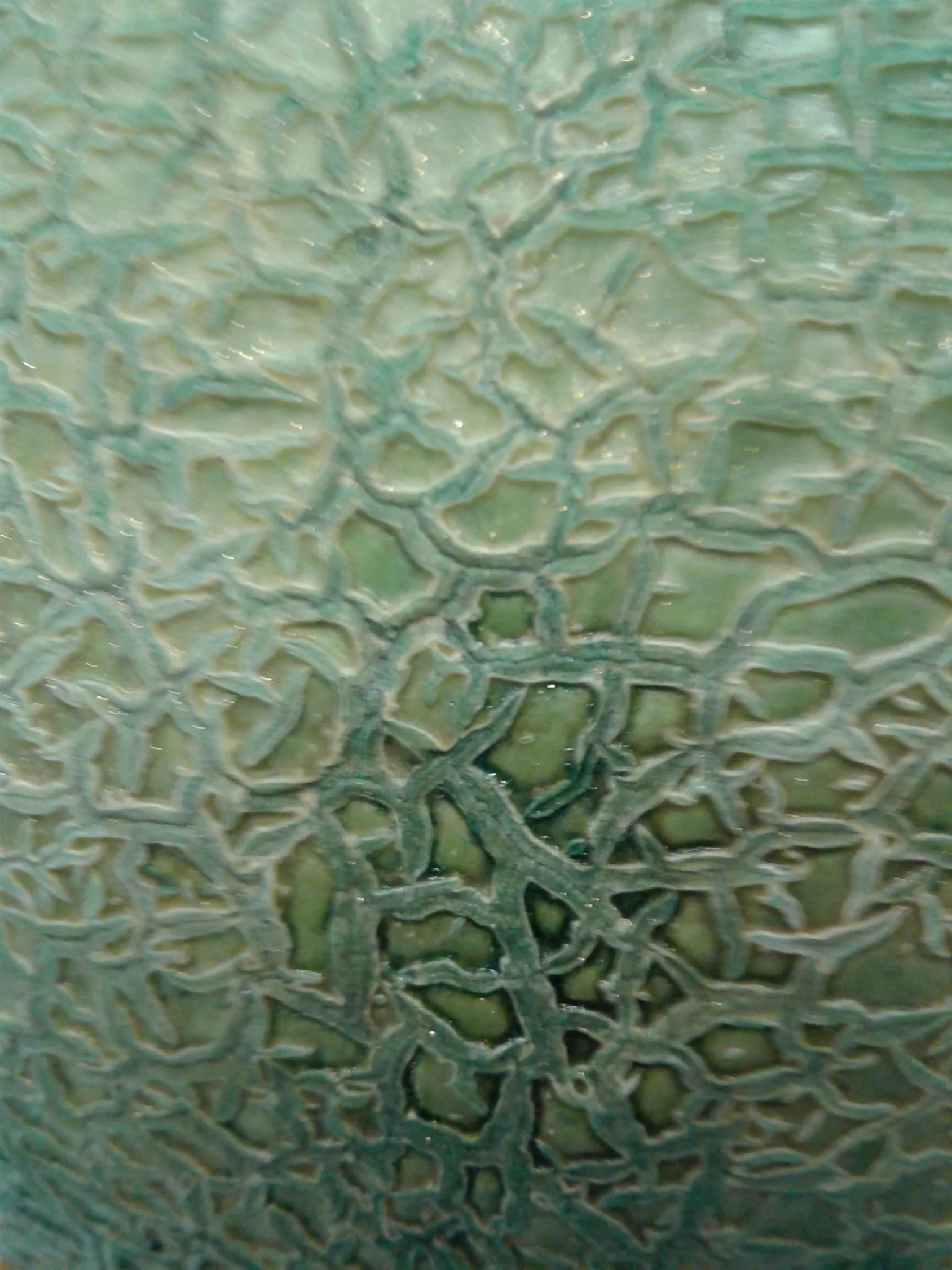 Cantaloupe with Ink