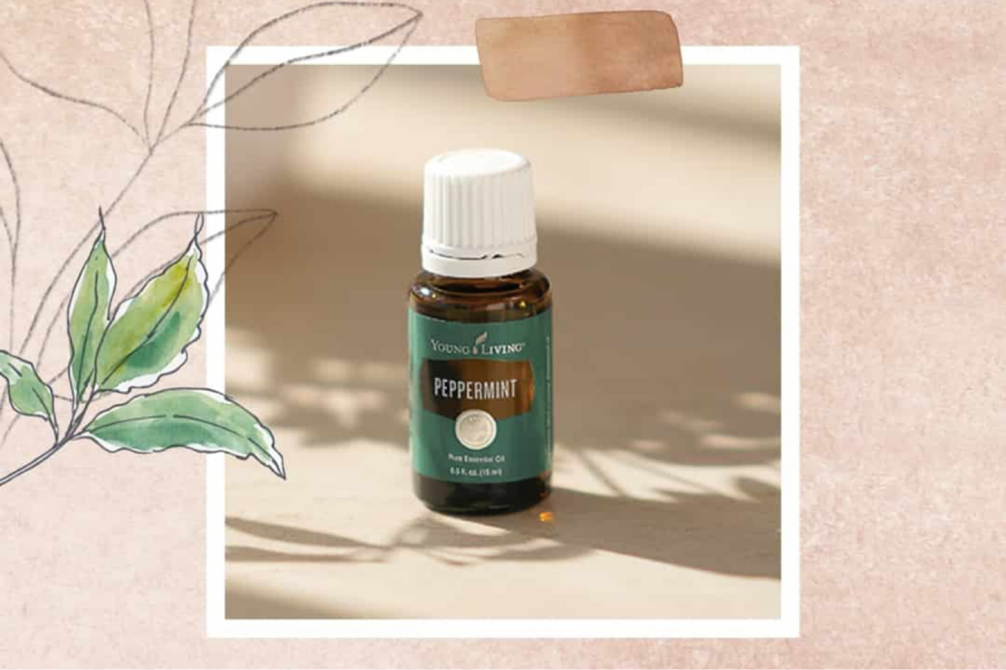 Peppermint Essential Oil 