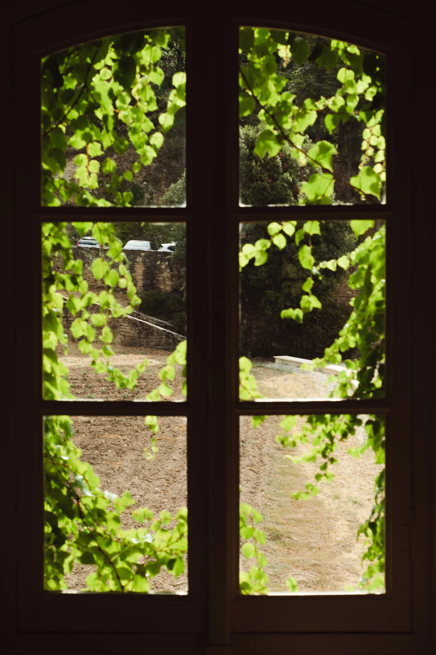 portfolio_window.jpg