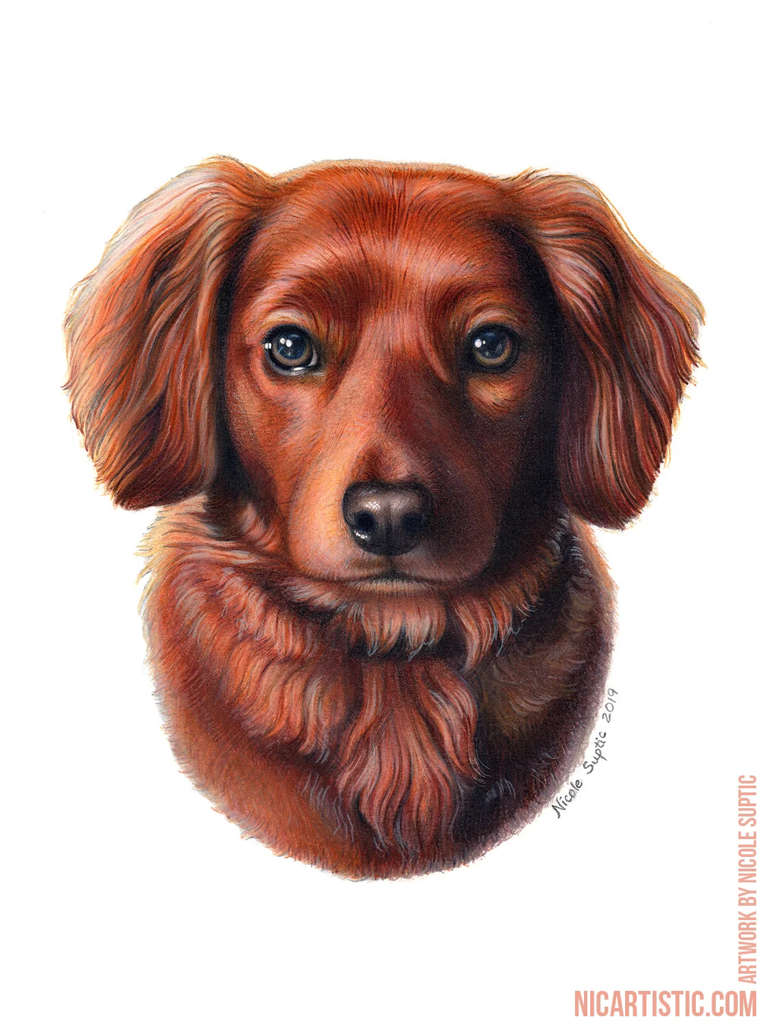 Lady Sansa Bark of Winterfell