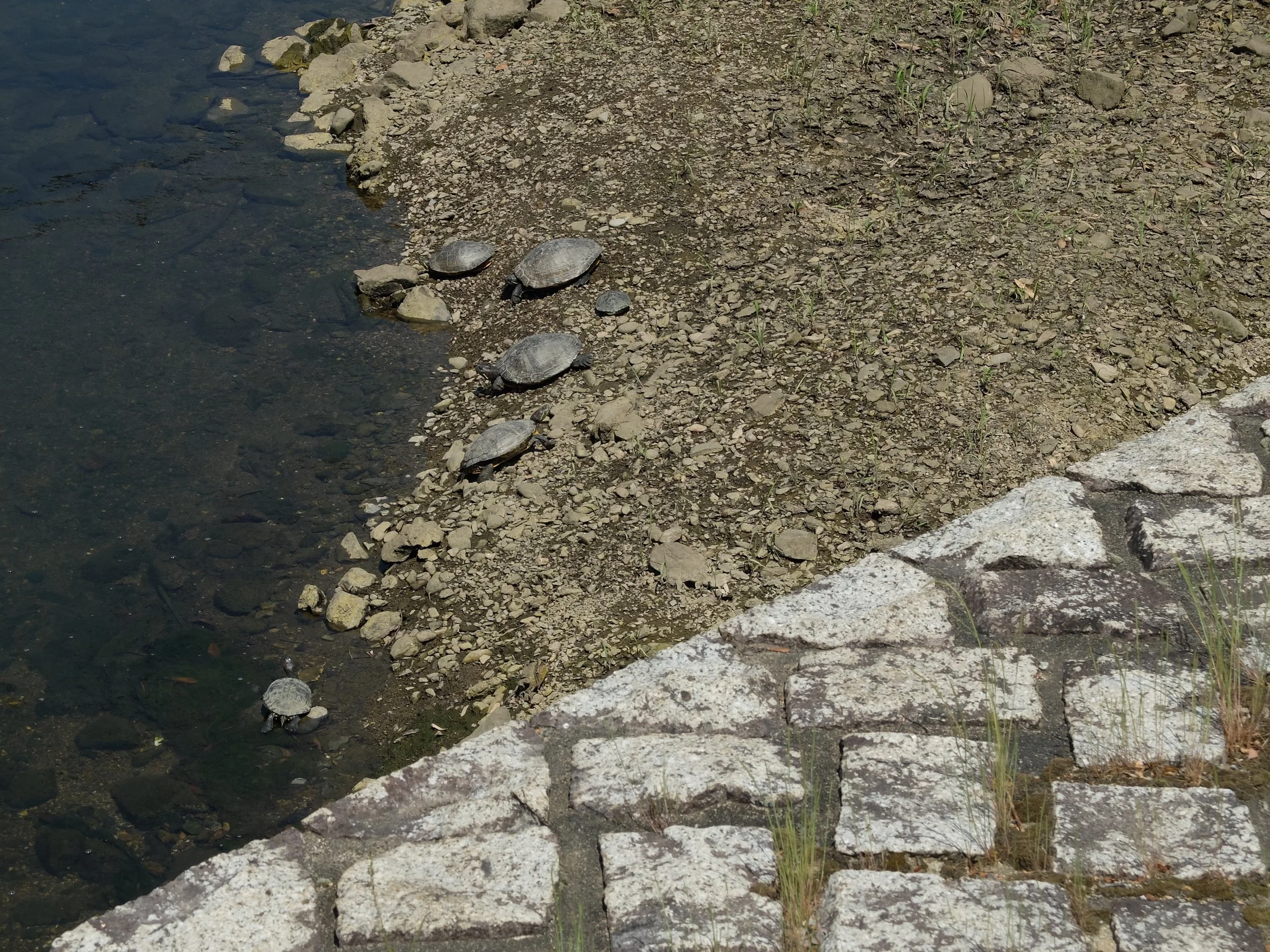 DSCF2098.jpg