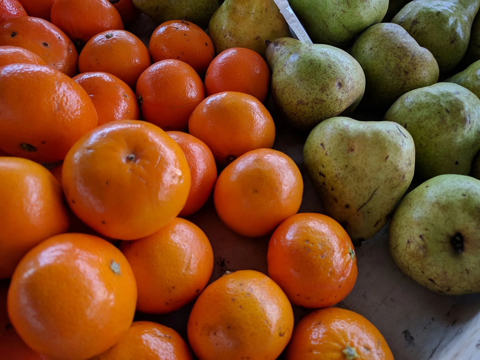 oranges and pears.jpg