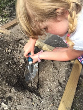 Make a hole twice the size of your seedling pot.