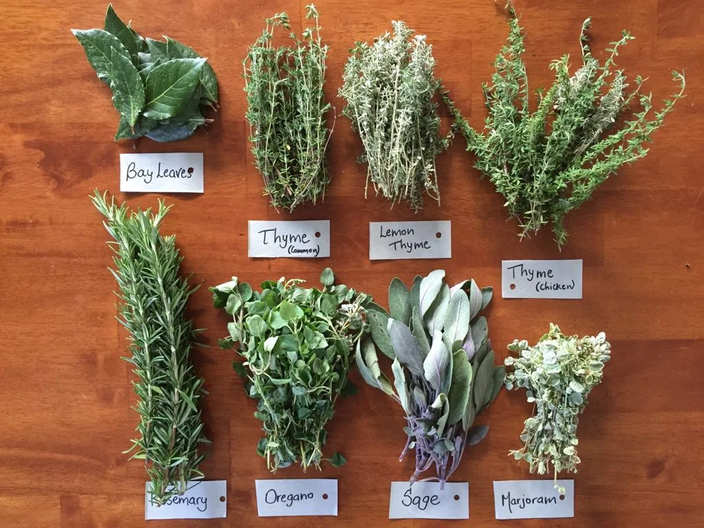 Drying herbs