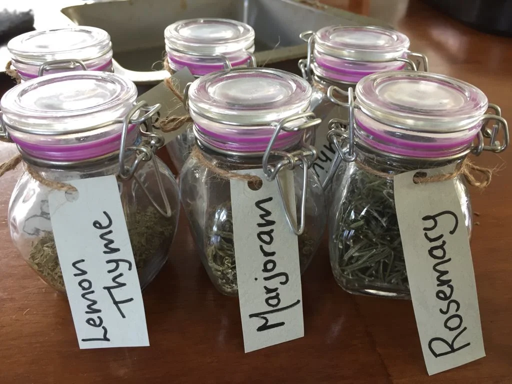 Drying Herbs Is Fun! 