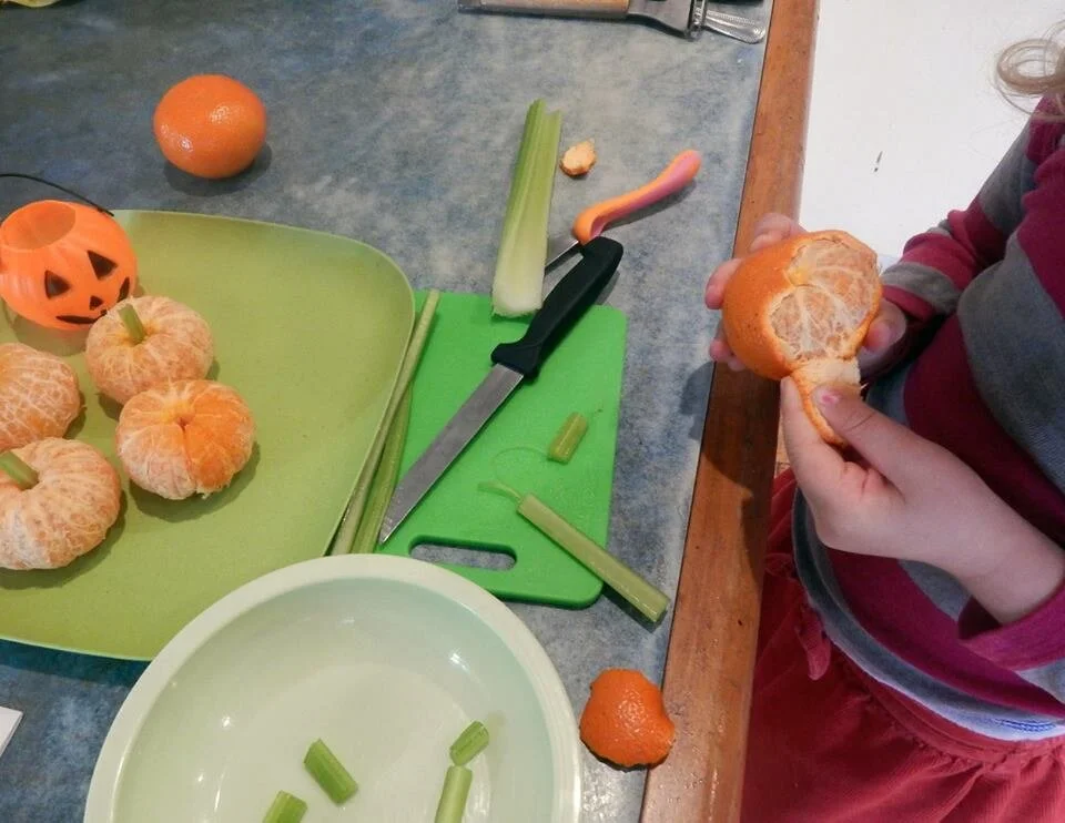 22555312_498470257190948_1384182619192033262_n (1).jpg