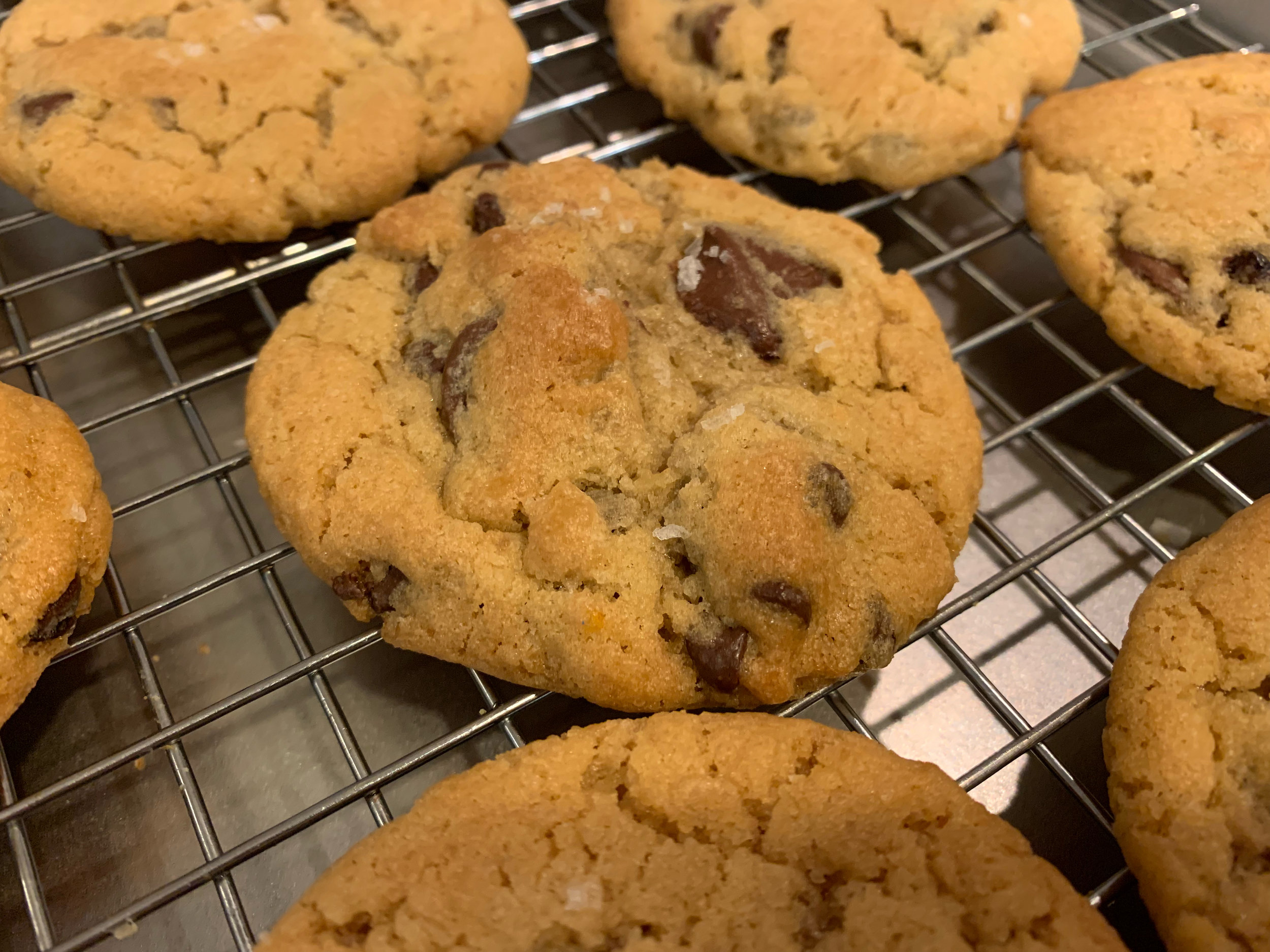 NYTIMEScookie.jpg