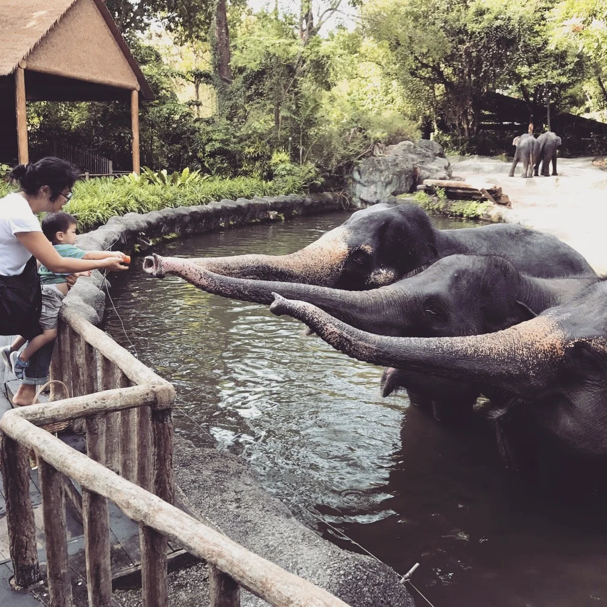 My take on best kids attractions for Singapore