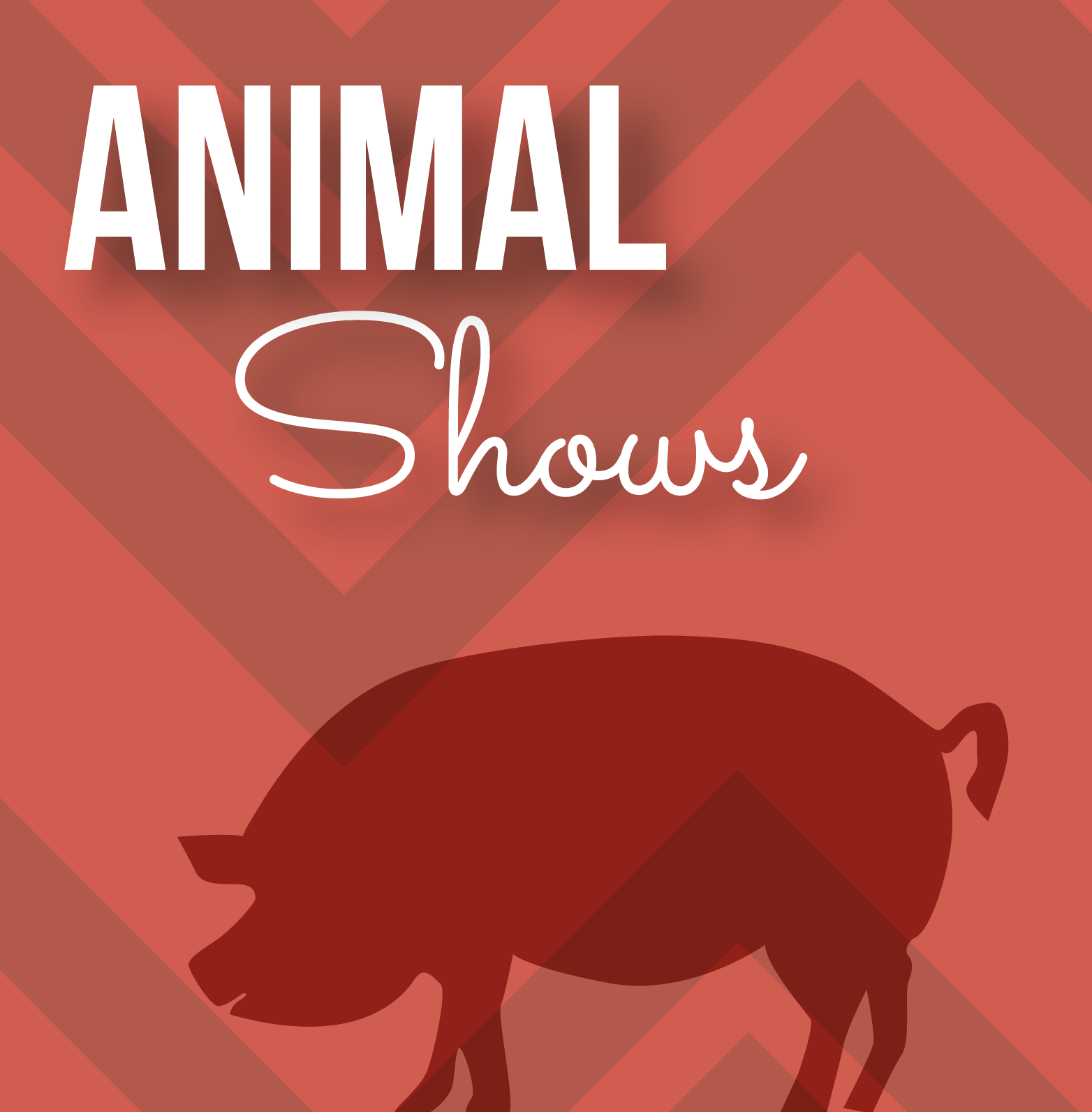 Animal Shows.png