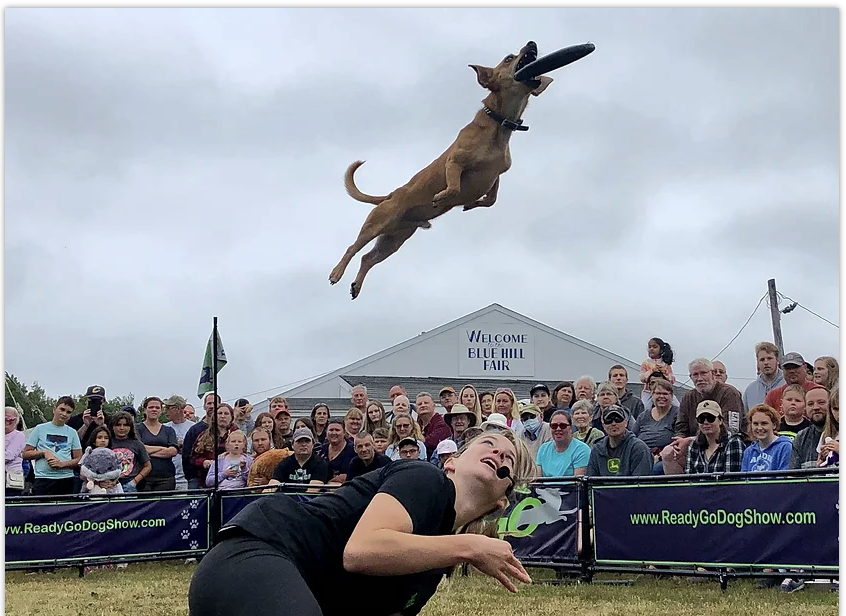 Ready Go Dog Show!