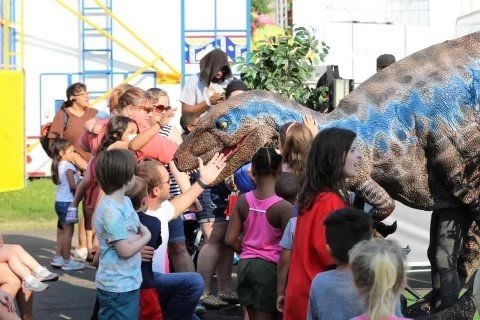 The Stone Age Show