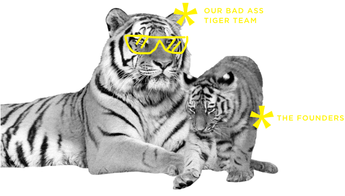 BRILLIANCE.png