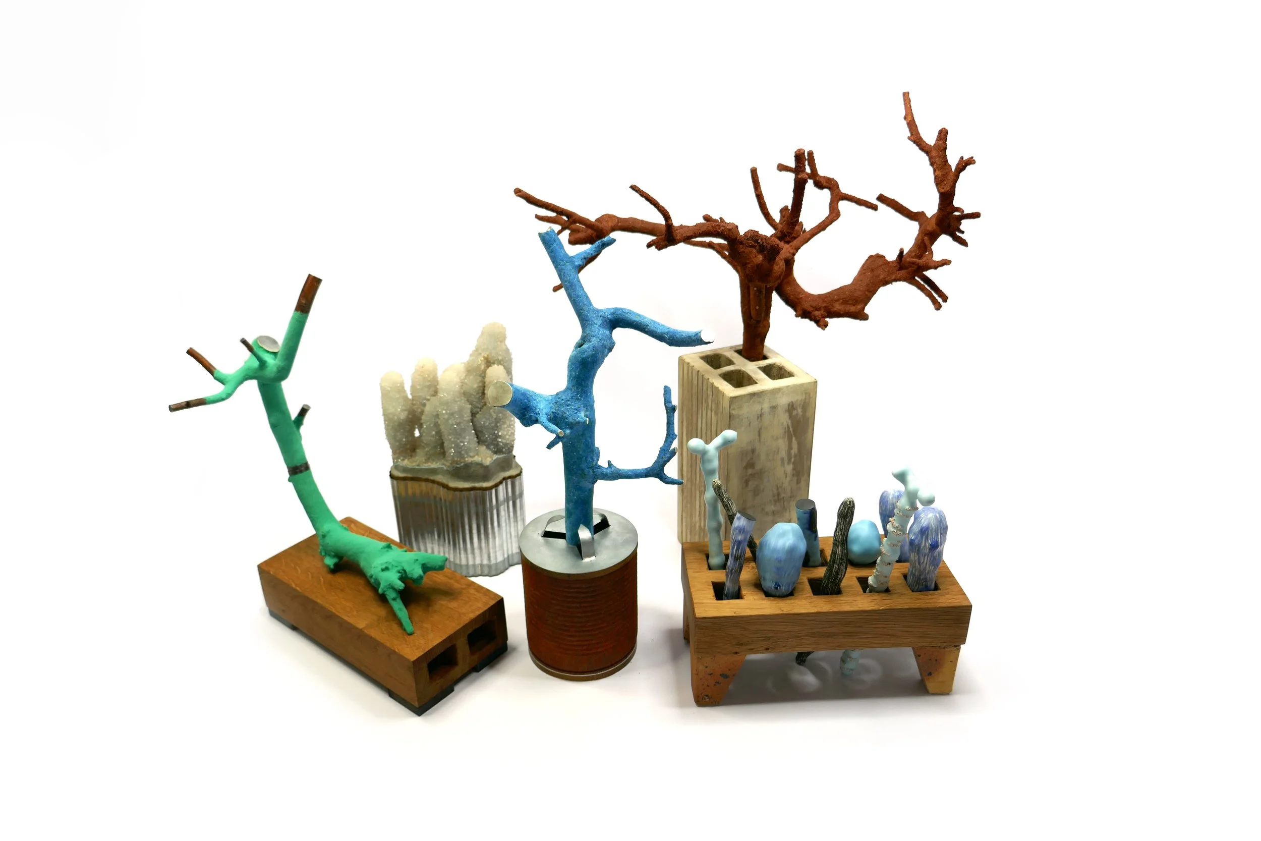 2025 Group Bonsai 2_1.jpg