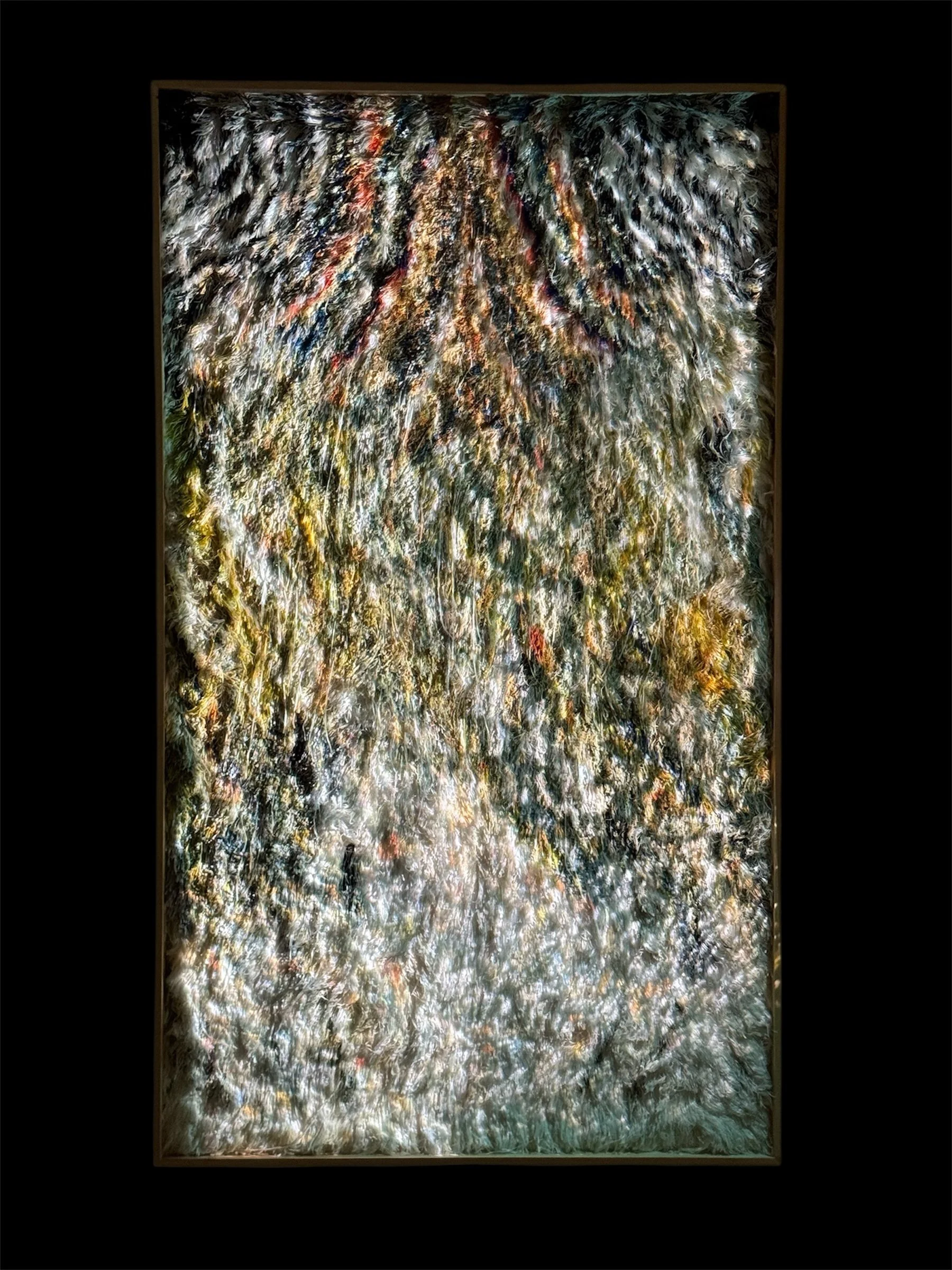 Comforter : Rug with media projection : 2025 evening.JPG