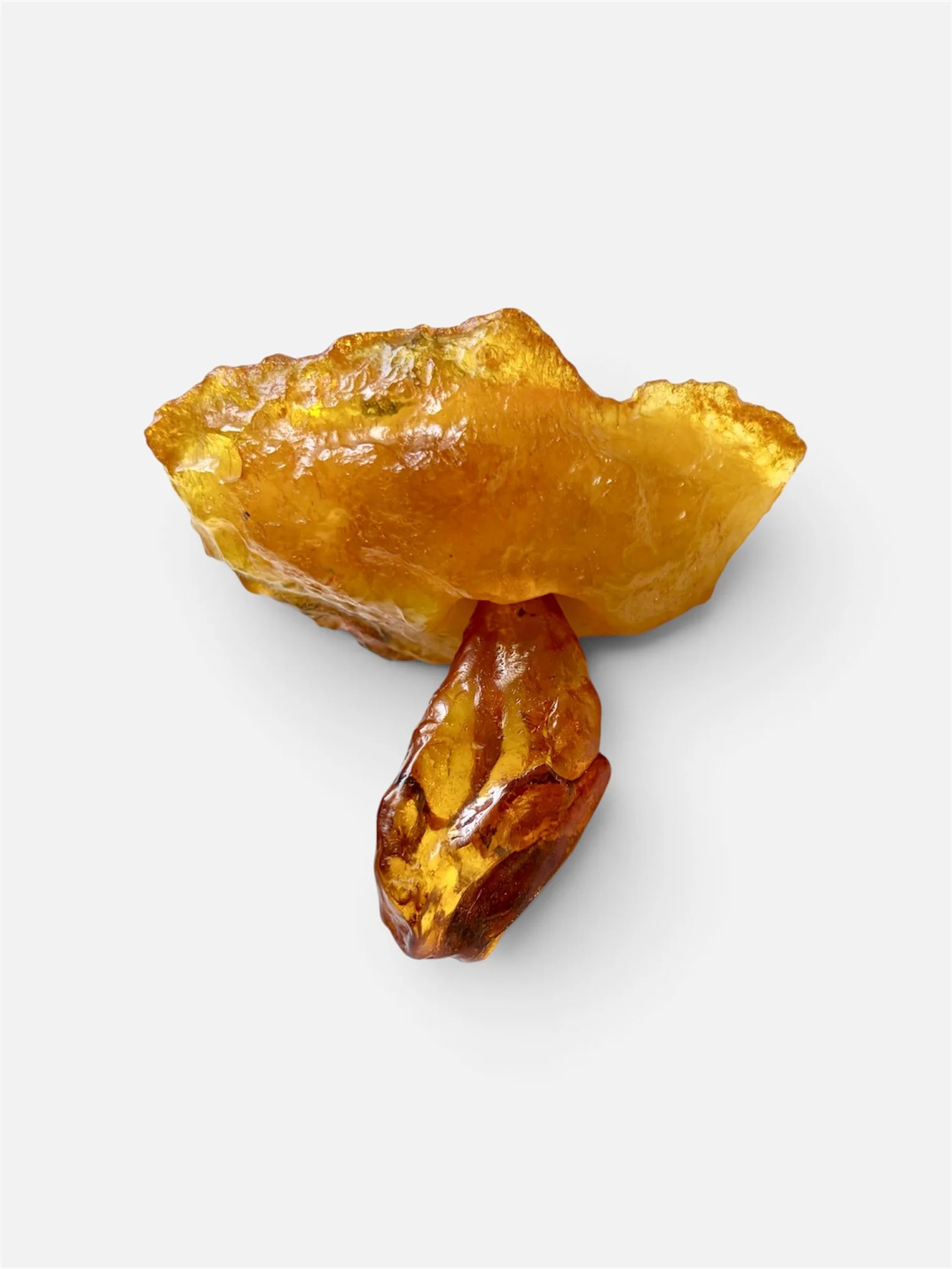 Daniel Kruger_art jewelry-amber brooch 2012.JPG
