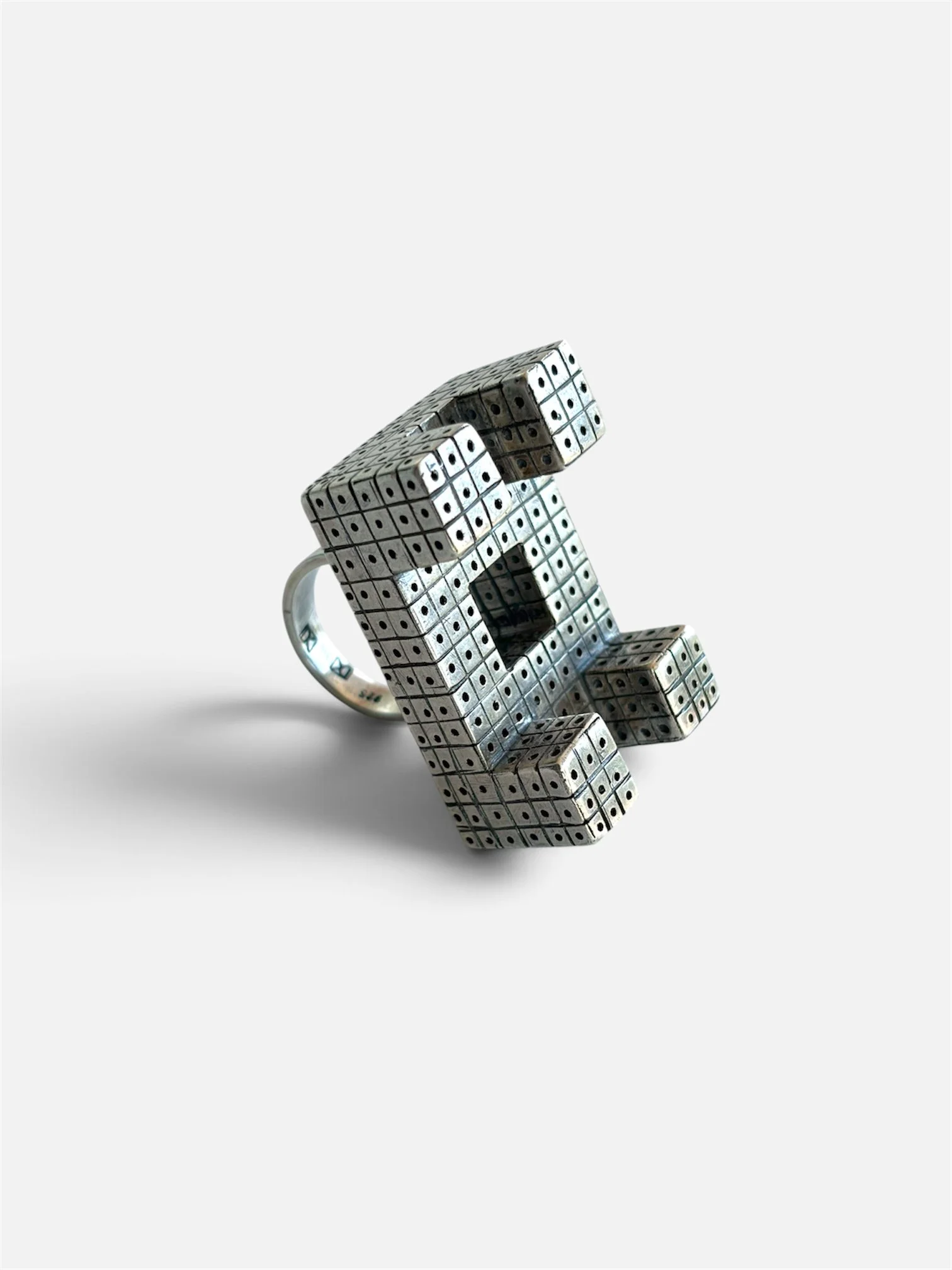 Daniel Kruger_art jewelry-ring 2-2013-1.JPG.JPG