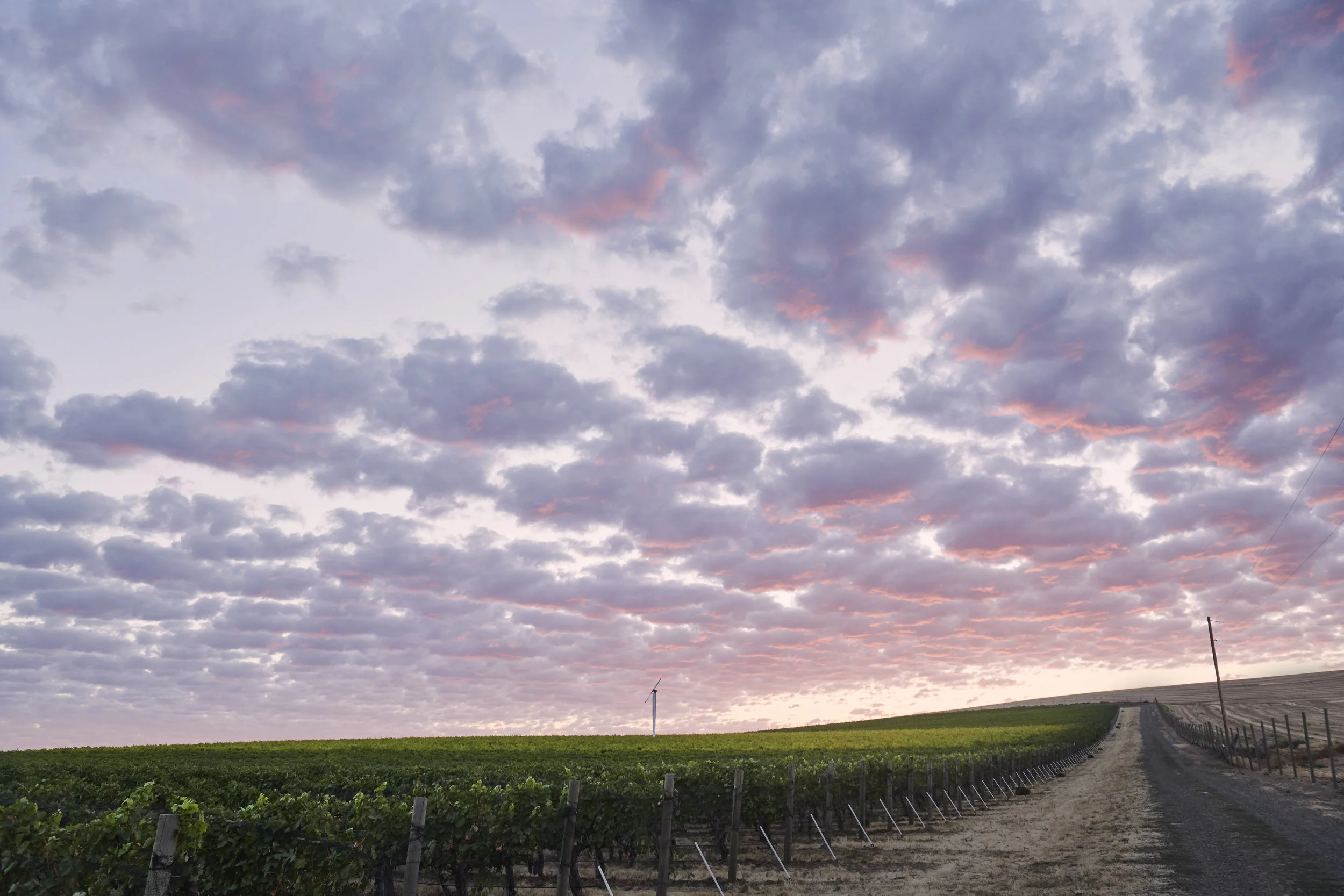 20180914-GCC_Harvest-0028.jpg