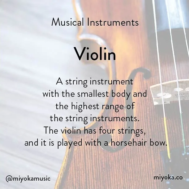 #classicalmusic #violin #stringinstrument #music #musicalinstrument #violinist