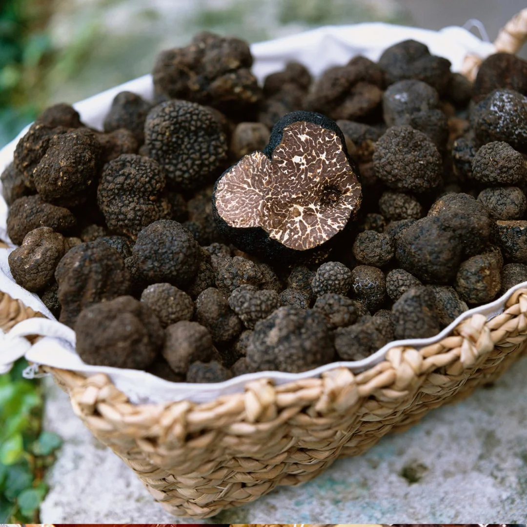 Shop — The Cheese Store of Beverly Hills