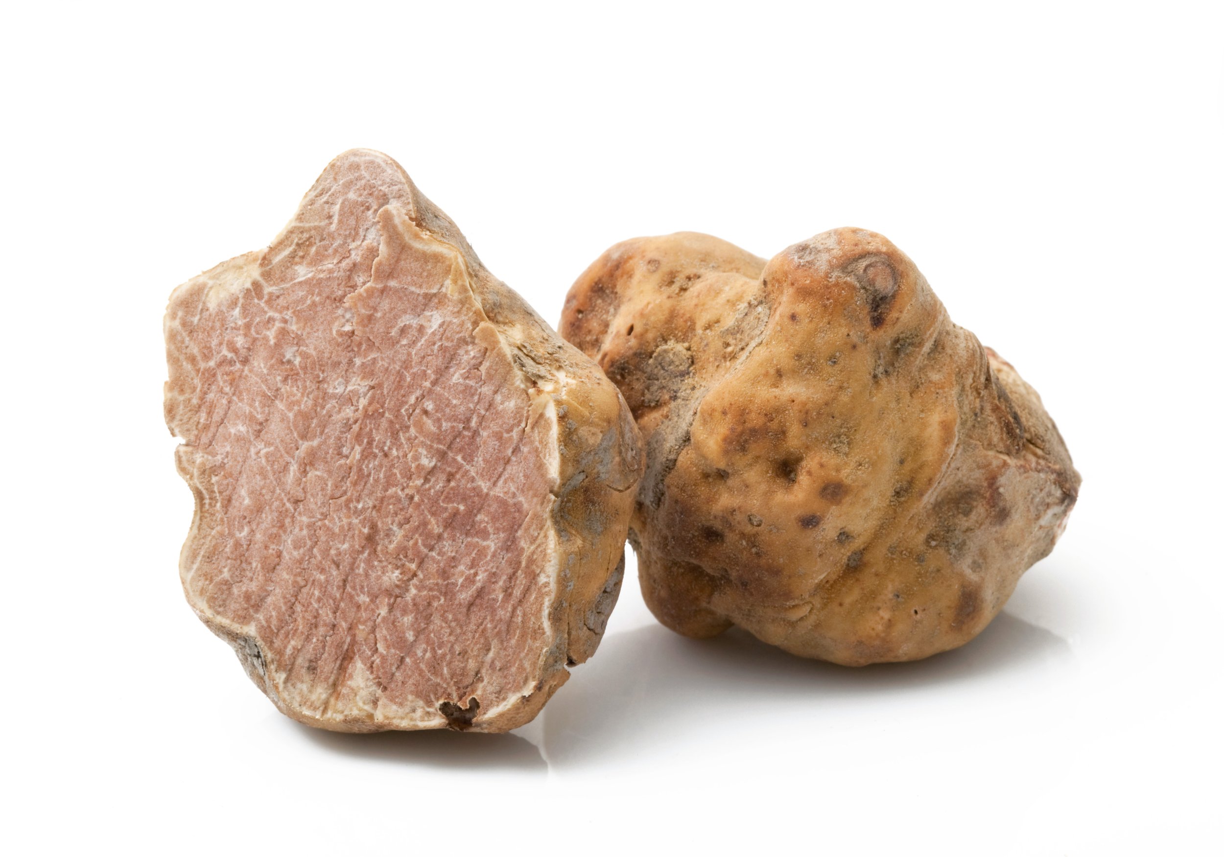 White Truffle White background.jpg