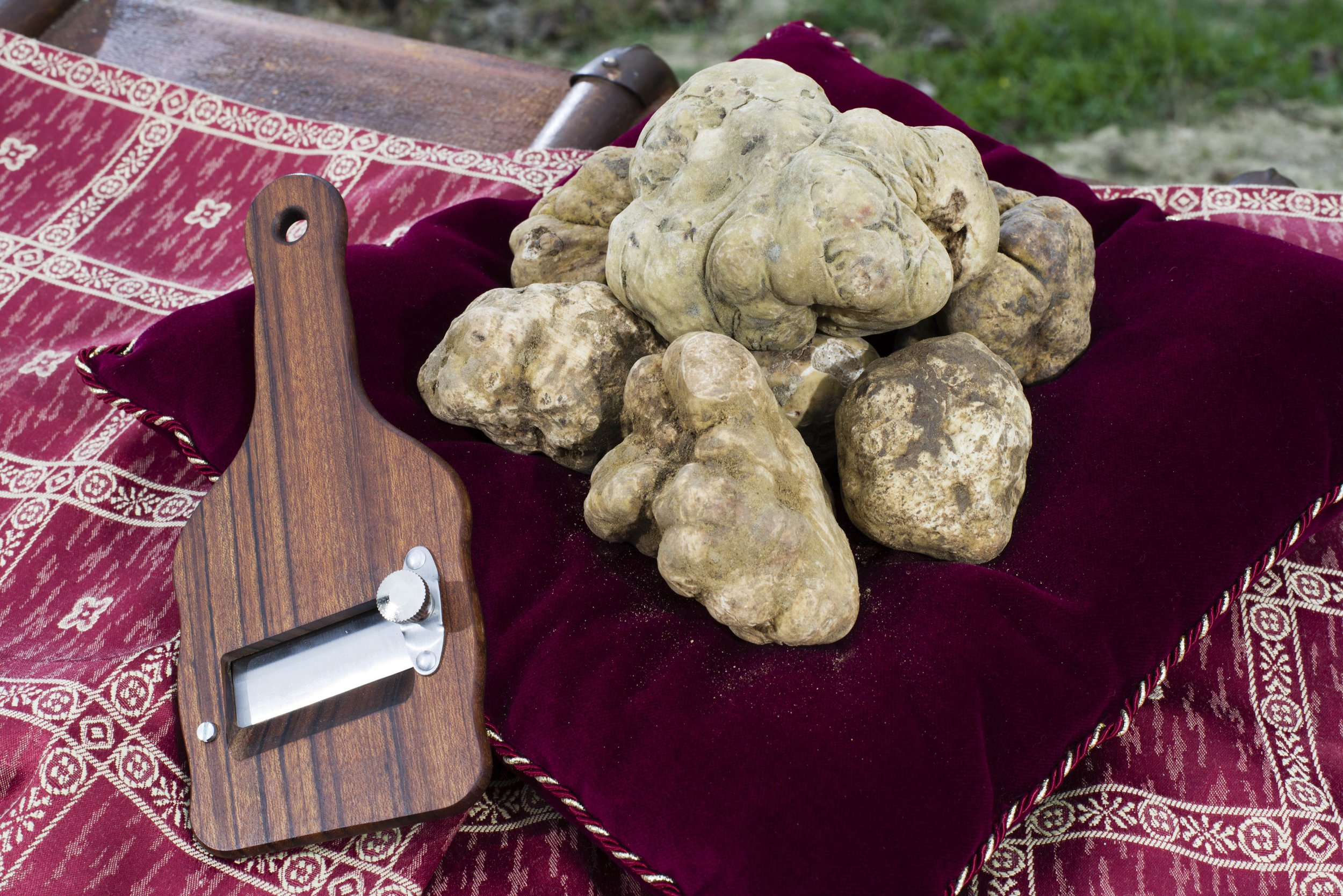 White Truffles with Slicer.jpg