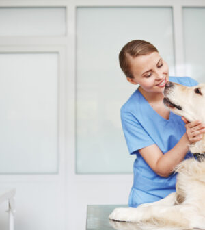 Young-female-veterinarian-in-blue-uniform-hugging-and-talking-to-white-fluffy-labrador-lying-on-table-during-check-up-300x336.jpg