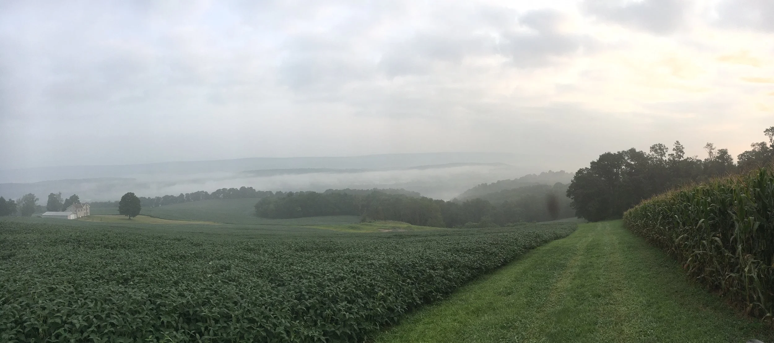 Landscape 2.jpg